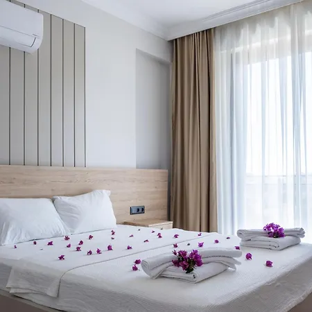 Savaya 1 * カシュ