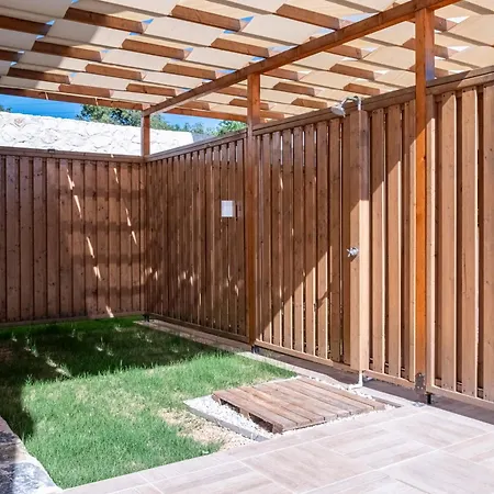 Savaya 1 * カシュ