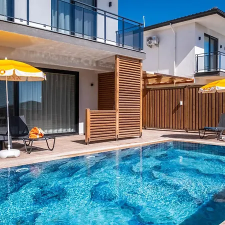 Savaya 1 * カシュ